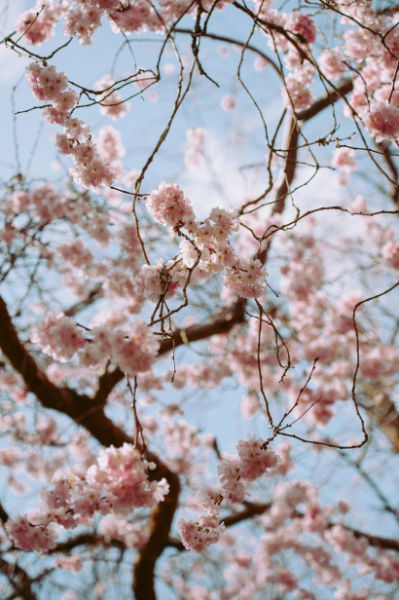 warm spring day
